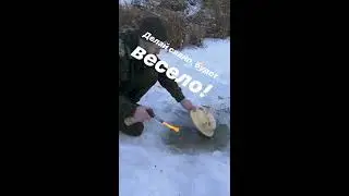 СТАРЫЙ РАССКАЗЫВАЕТ О ЗДОРОВОМ ПИТАНИИ