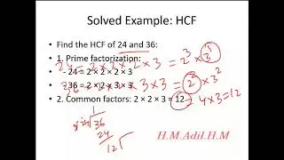Understanding Whole Numbers, Squares, Square Roots, Cubes, Cube Roots, HCF, and LCM: Complete Guide