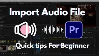 Import file from audio library in Premiere Pro