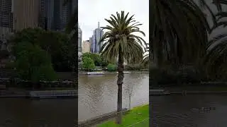 Street Scenery Flinder Street, From Bridge to Yarra River 2023