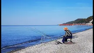Пляж побережья Чёрного моря 2020