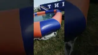 гуляю с котом
