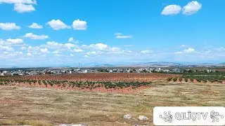 Gunde Qilîçê (  2024 )  / HEWAG / RIHA kılıçören köyü / mahallesi