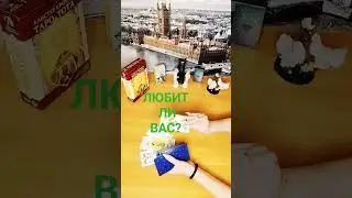 #любитлионменя