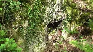Hidden Dartmoor National Trust Lydford Gorge Devon
