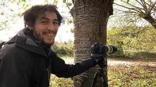 Wild Campus – photographing our 