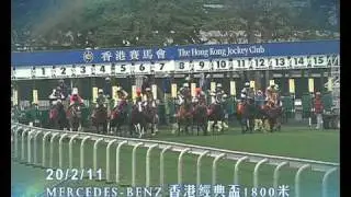 [2011 Mercedes-Benz 香港打吡大賽]「軍事攻略」大摩精心部署!