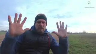 E-lekcja: przystosowania ptaków do lotu
