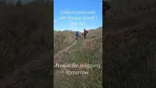 Coastal walks with the puppy #goldenretreiver