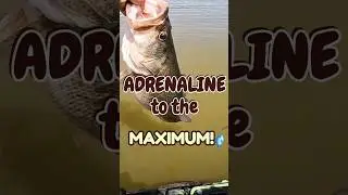 Largemouth Bass Kayak Fishing: Insane Catch!
