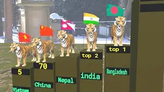 Tiger population by country|2023 |3d comparison