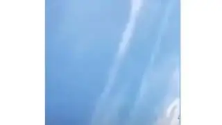 Кавказец на американских горках.                              