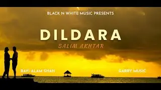 Dildara (Full Song) | Salim Akhtar | New Punjabi Song 2024 | Latest Song