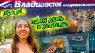По пути во Владивосток. Новосибирск. Зоопарк - животные отжигают 😂 Атака белки! Проблемы в аэропорту