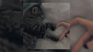СМН - Люби меня |speed up|