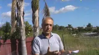 Prostate cancer - Prostate surgery pathology