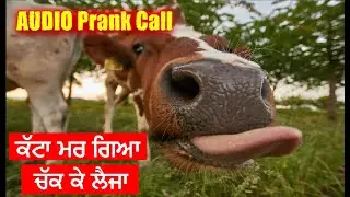 Katta Margea Chak Ke Le Ja | Funny Punjabi audio 2 | Audio Prank Call