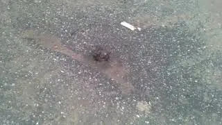 Фонтан воды из асфальта. Что делать?