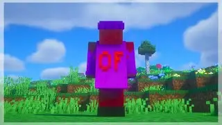 How to Get a Custom Minecraft Cape