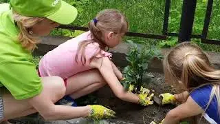 Лагерь Кодология первая смена