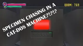 The CAT-DOS/arcade 