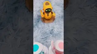 EilikDQ's Lucky Wheel 