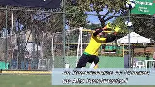 Goleiros do Brasil