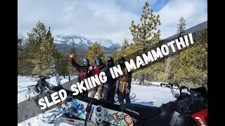 Christopher Polvoorde and Friends go Sled Skiing in the Backcountry of Mammoth Lakes