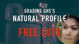 Colour correct Natural 'White In Revery' settings - free LUTs! | Panasonic GH5 GH5S G9 G85
