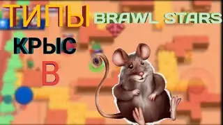 Типы крыс в Brawl Stars'e