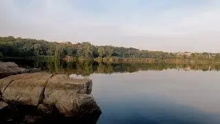 Іскрівське водосховище. Товстолобик зайшов у затоку.