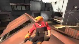 Engineer Looks At A Rooster