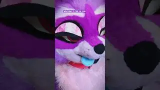 i'm looking for a furry that's a blue dog 💙 6'5 finance / parody song 
