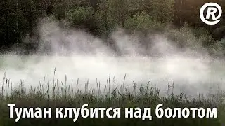 Туман клубится над болотом