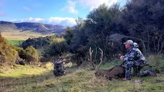 2020 Double Lung TV Trailer