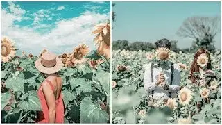 Mediumseagreen  effects | Lightroom tutorial