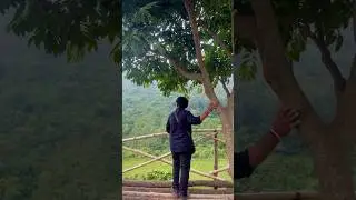 #ArakuValley #MonsoonMagic #BikeRideAdventures #NatureLovers #TravelDiaries #scenicroutes