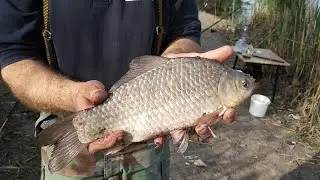Fishing. Catching crucian carp. Rain at night.