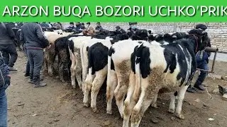 ARZON BOZOR UCHKO'PRIK CHORVA BOZORI bugun juda arzon BO'LDI