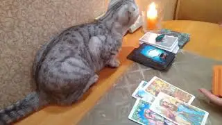 🙏 Что Было🙏 Что ЕСТЬ👩‍🦱👨‍🦱 ЧТО БУДеТ❤️гадание