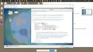 07.04. cash- only dns