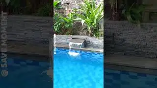 INSPIRASI KOLAM RENANG MINIMALIS 