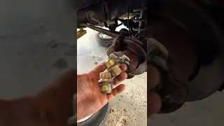 HUGE Big Ole Nuts…Discovery, Land Rover
