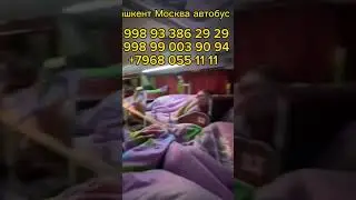 Узбекистан Москва Автобус 