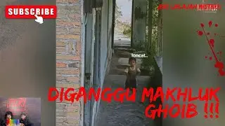 DIGANGGU SETAN !!!  REACTION VIDEO