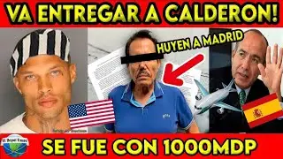 DEA and UIF freeze $10 billion in accounts belonging to Mayor La Mayor! Morena congresswoman has ...