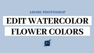 Changing Watercolor Colors in Photoshop 🎨