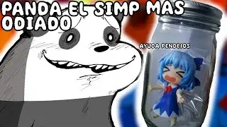 PANDA EL SIMP MAS ODIADO DE TODA LA ANIMACION ESCANSALOSOS 2024