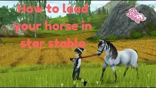 How to lead your horse in Star Stable