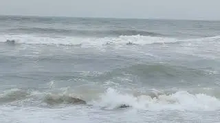 yopam pushpam veda